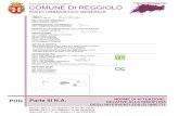 Comune di Reggiolo (RE) Norme di attuazione Piano ...
