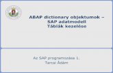 ABAP dictionary objektumok SAP adatmodell