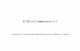 Genes e Cromossomos - University of São Paulo