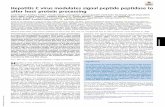 Hepatitis C virus modulates signal peptide peptidase to ...