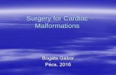 Surgery for Cardiac Malformations