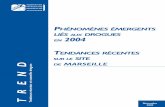 PHÉNOMÈNES ÉMERGENTS LIÉS AUX DROGUES EN 2004