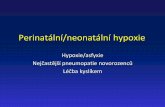 Perinatální/neonatální hypoxie