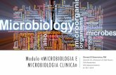 Modulo «MICROBIOLOGIA E MICROBIOLOGIA CLINICA»