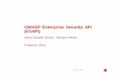 OWASP Enterprise Security API (ESAPI)