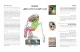 ADONIS Optoacoustic Imaging Concept - FP6 Strep Adonis