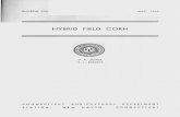 Hybrid Field Corn - ct