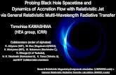 Probing Black Hole Spacetime and Dynamics of Accretion ...