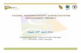 KAGERA TRANSBOUNDARY AGROECOSYSTEM MANAGEMENT …