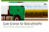 Gute Gründe für Biokraftstoffe