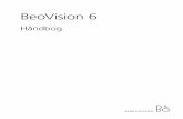 BeoVision 6 - .NET Framework