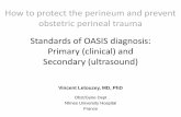 How to protect the perineum and prevent obstetric perineal ...