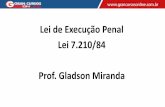 Lei de Execução Penal Lei 7.210/84 Prof. Gladson Miranda
