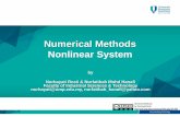 Numerical Methods Nonlinear System