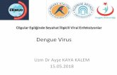 Dengue Virus - EKMUD