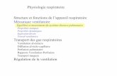 Physiologie respiratoire Structure et fonctions de l ...
