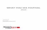 WHAT YOU SEE FESTIVAL
