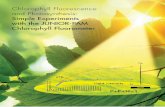 Chlorophyll Fluorescence and Photosynthesis
