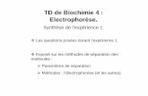 TD de Biochimie 4 : Electrophorèse.