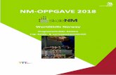 NM-OPPGAVE 2018
