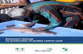 Extension manual on production of quality catfish seed