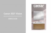 Caesar 2021 Vision - mops.twse.com.tw