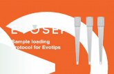 Sample loading protocol for Evotips - EVOSEP