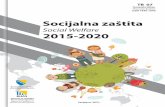 Social Welfare 2015-2020