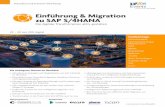 Einführung & Migration zu SAP S/4HANA