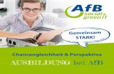 Chancengleichheit & Perspektive - afb-group.at