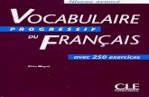 Vocabulaire progressif du français avancé