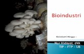 Bioindustri Minggu 1 - Universitas Brawijaya