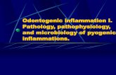 Odontogenic inflammation I. Pathology, pathophysiology ...