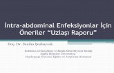 İntra-abdominal Enfeksiyonlar İçin Öneriler “Uzlaşı Raporu”