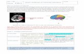 C15-1 Lésion cérébrale et motricité volontaire
