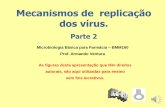 Mecanismos de replicação dos vírus.
