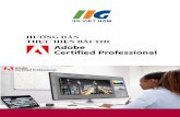 Hướng dẫn thực hiện bài thi Adobe Certified Professional