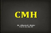 CMH - forvetargentina.com