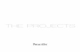 THE PROJECTS