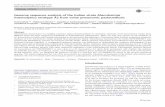 Genome sequence analysis of the Indian strain Mannheimia ...