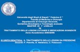 Università degli Studi di Napoli “ Federico II “ Facoltà ...
