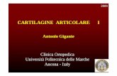 Antonio Gigante Clinica Ortopedica Università Politecnica ...