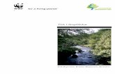 Fisk i skogsb ckar.doc) - SLU.SE