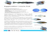 Eggkvalitet i marin fisk - SINTEF