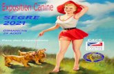 EXPOSITIONS CANINES 2021 / 2022