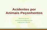 Acidentes por Animais Peçonhentos - UFSC
