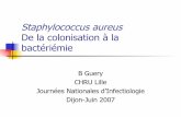 Staphylococcus aureus De la colonisation à la bactériémie