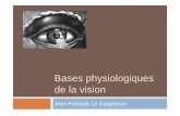 Bases physiologiques de la vision