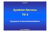 Système Nerveux TD 3 - b.meric.free.fr