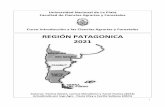 REGIÓN PATAGONICA 2021 - UNLP